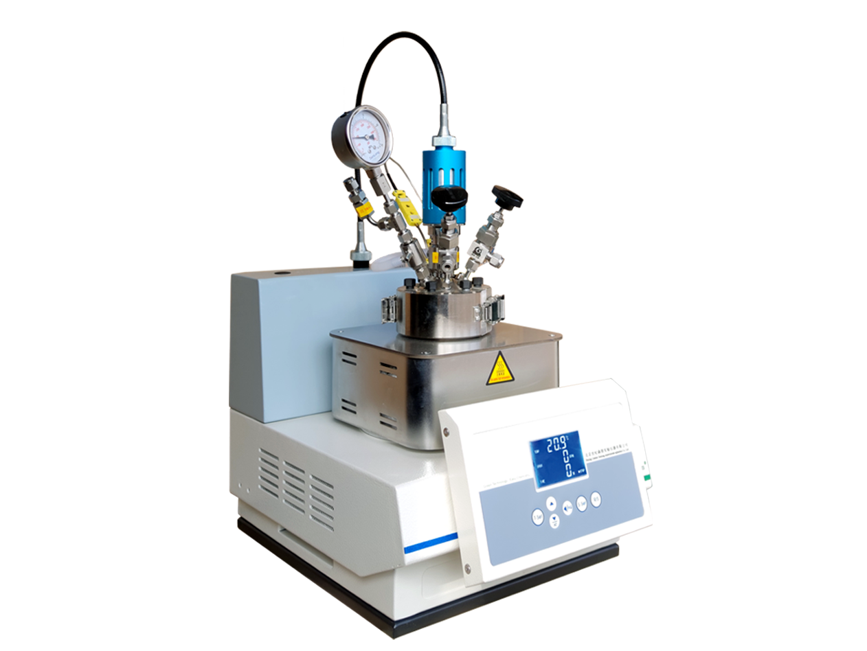 100ml高压反应釜