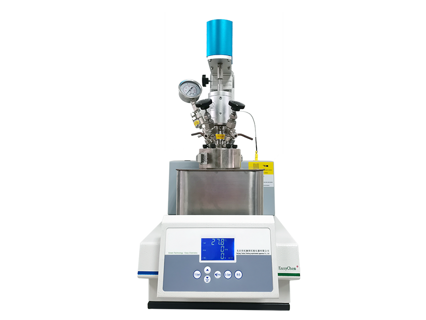 1000ml实验室微型反应器